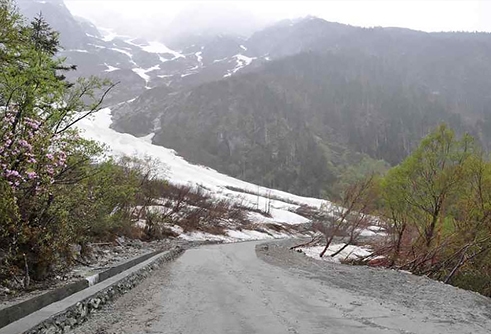 s-491-334-276374735589027296192348323