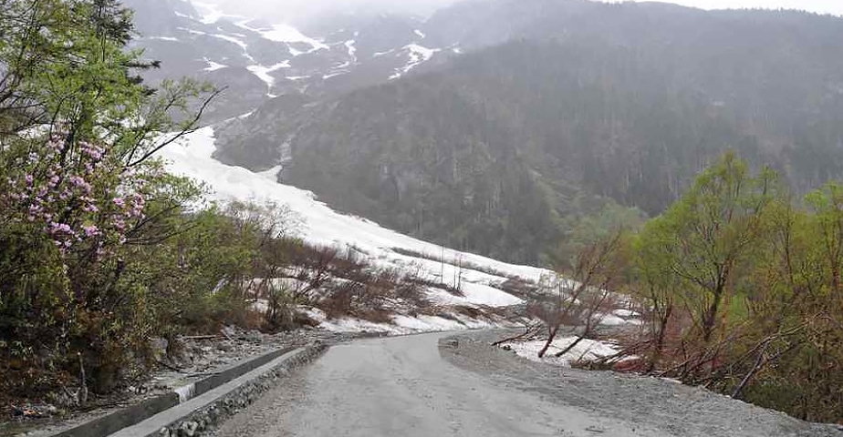 s-924-480-276374735590554796009983512