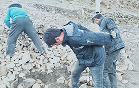 s-274-175-186375167786083278566000966