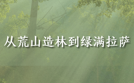 s-450-278-256380753993968246055896171