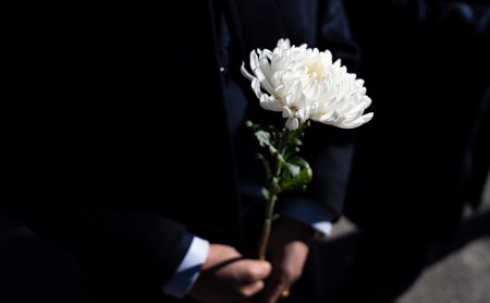 s-450-278-056381629076322757038912668