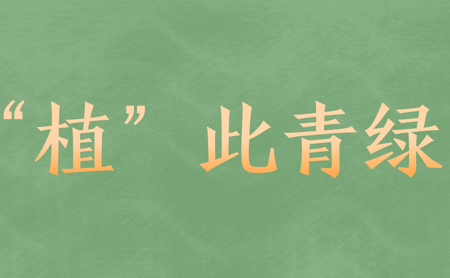 s-450-278-276381822694791431418247993