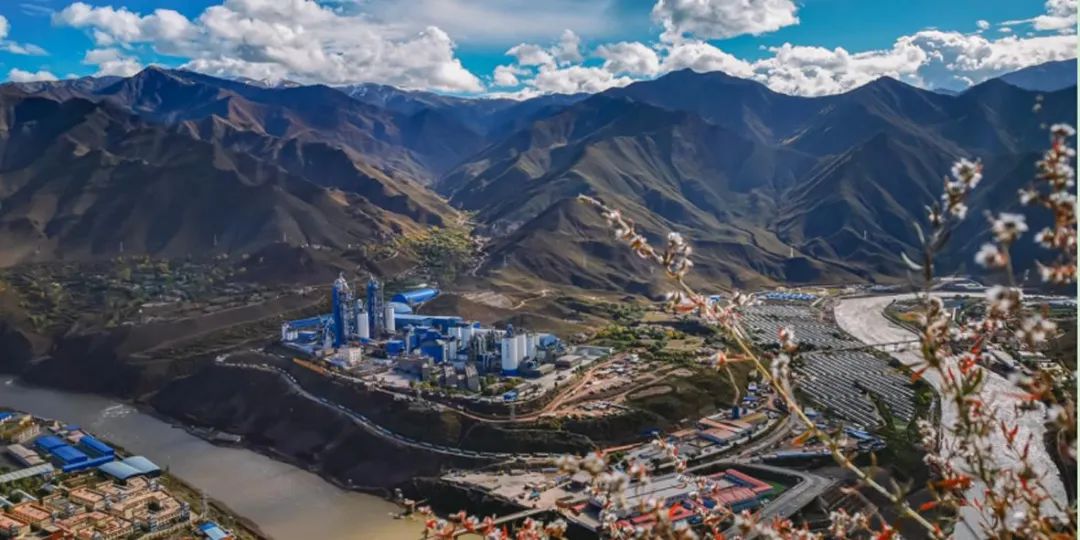 白菜资源网-白菜导航大全