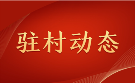 s-450-278-306382634924004487576882113